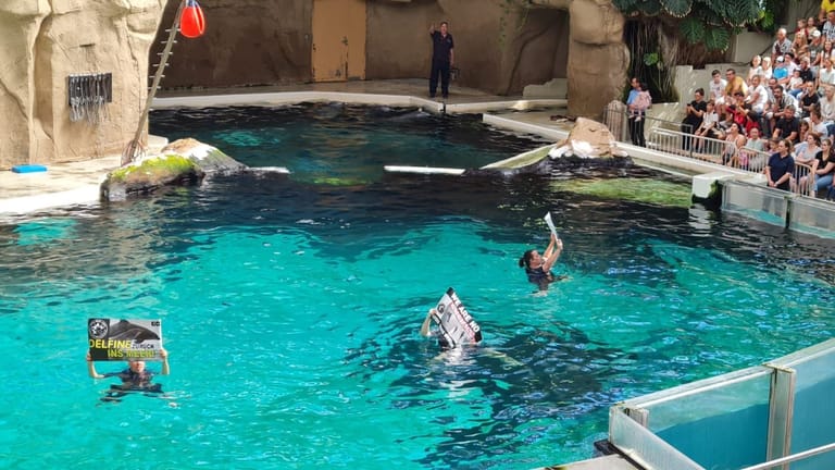 Aktivisten crashten die Delphin-Show im Duisburger Zoo.