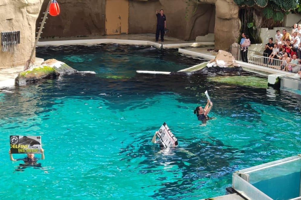 Aktivisten crashten die Delphin-Show im Duisburger Zoo.