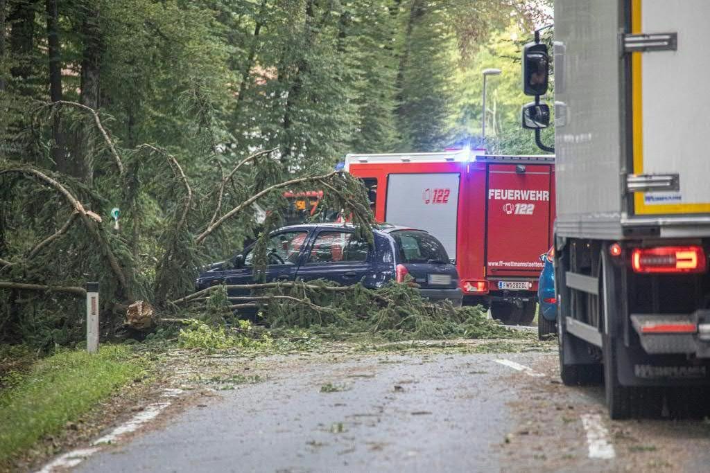 Unwetter in Niederösterreich: Umstürzende Bäume haben zwei Kinder getötet.