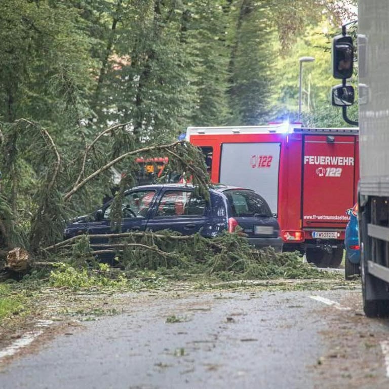 Unwetter in Niederösterreich: Umstürzende Bäume haben zwei Kinder getötet.