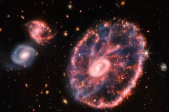 Cartwheel-Galaxie: Das James-Webb-Weltraumteleskop hat neue Bilder der Galaxie gemacht.