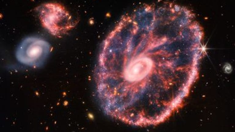 Cartwheel-Galaxie: Das James-Webb-Weltraumteleskop hat neue Bilder der Galaxie gemacht.