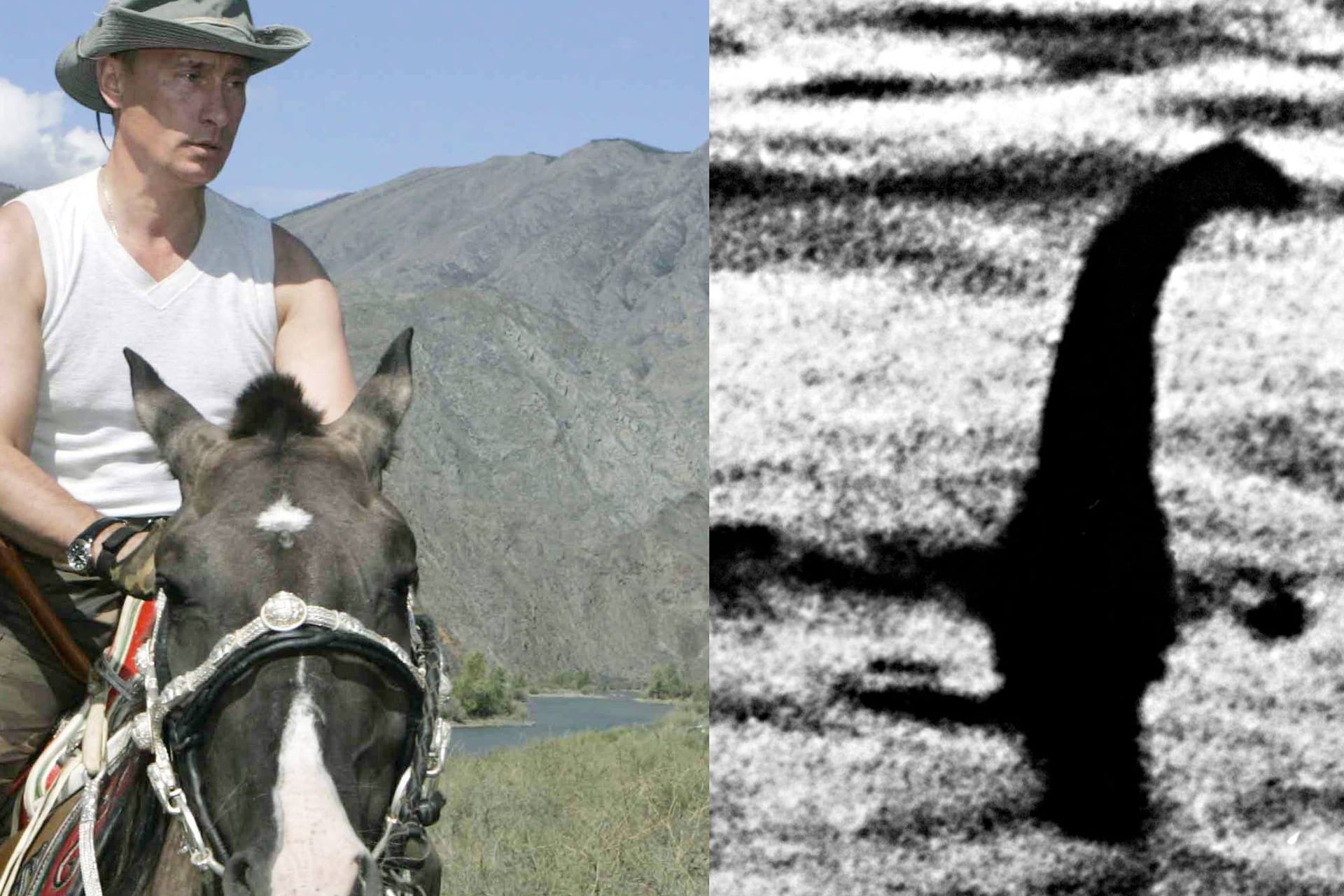 Collage: Putin auf einem Pferd und das Urzeitmonster Nessie.