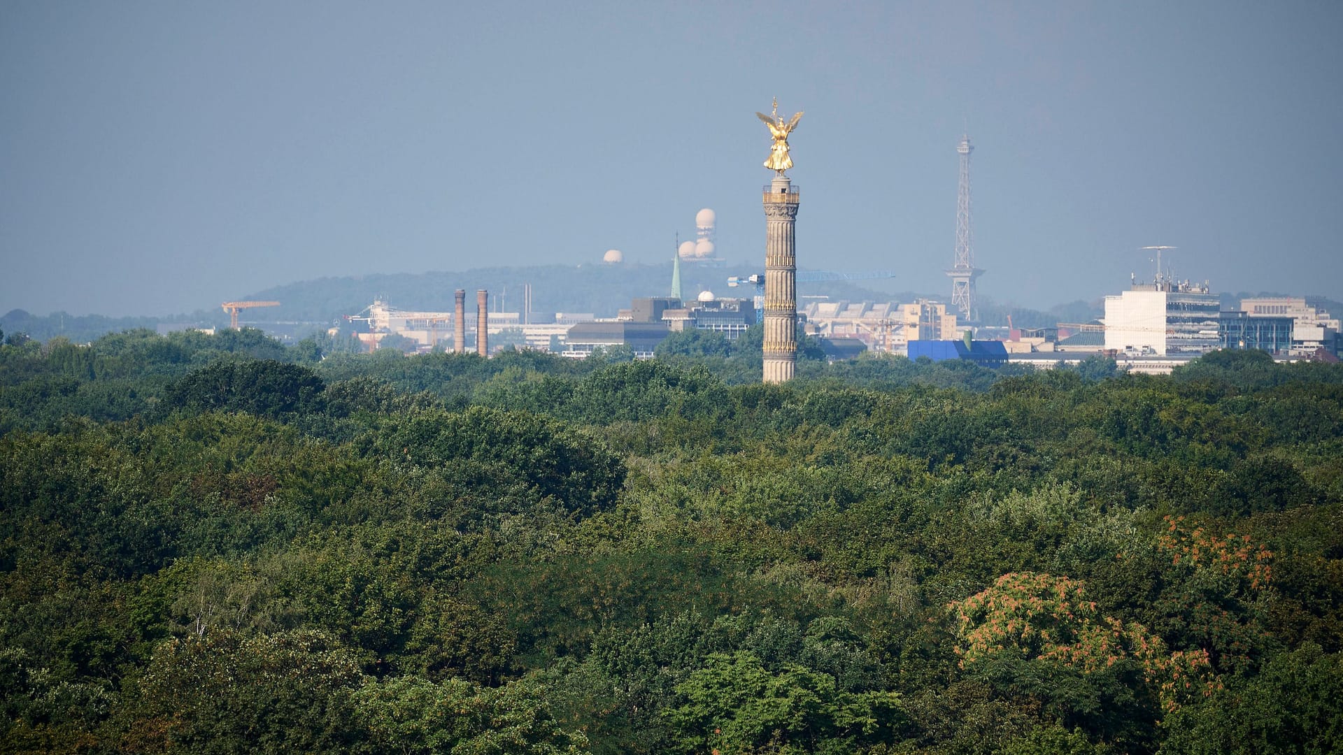 Großer Tiergarten Berlin (Symbolbild): Am Montagnachmittag werden zwei Männer hier verbal und handgreiflich angegriffen. Großer Tiergarten Berlin (Symbolbild): Am Montagnachmittag werden zwei Männer hier verbal und handgreiflich angegriffen.
