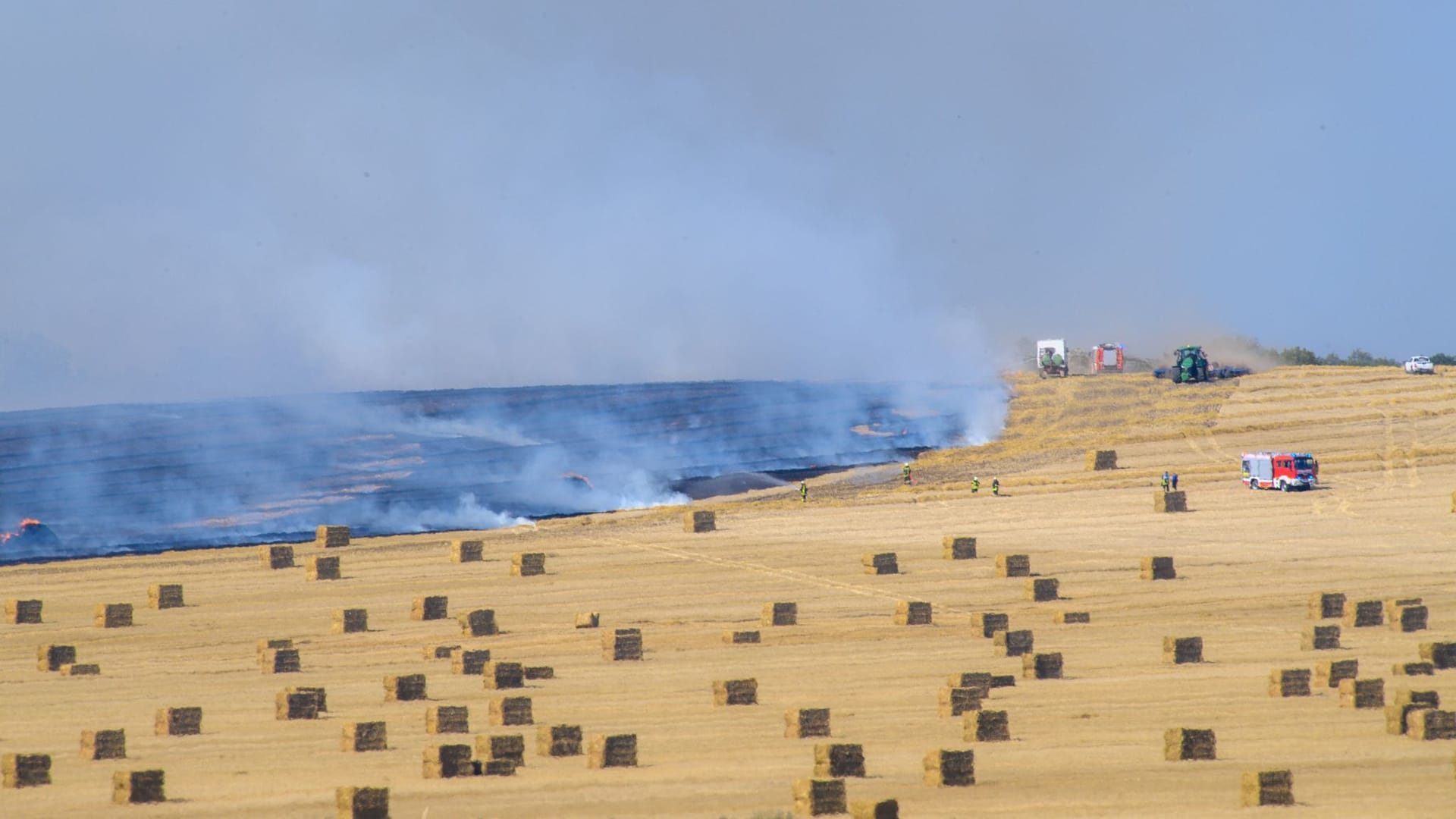 Feldbrand in Hedersleben: Hitze und Trockenheit führen in Deutschland aktuell zu Feldbränden.