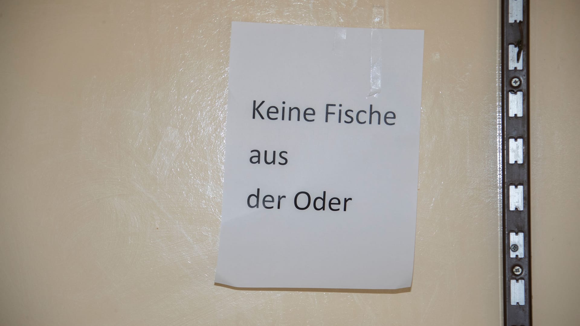 Die Angst vor einer Vergiftung sitzt tief:: Helmut Zahn vrekauft auch keinen zugekauften Fisch.