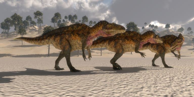 So stellen sich Grafiker vor, wie der Acrocanthosaurus einst ausgesehen hat.