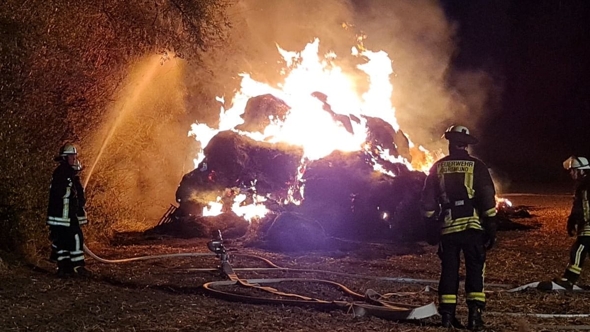 Ein Strohfeuer auf einem Feld in Kirchlinde: Die Flammen drohten auf weitere Bäume überzugreifen. Ein Strohfeuer auf einem Feld in Kirchlinde: Die Flammen drohten auf weitere Bäume überzugreifen.