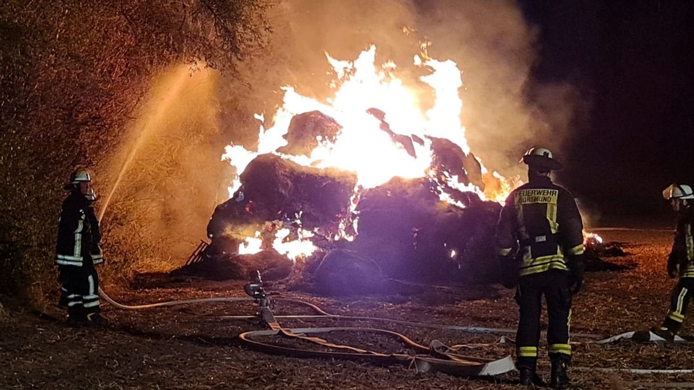 Ein Strohfeuer auf einem Feld in Kirchlinde: Die Flammen drohten auf weitere Bäume überzugreifen.