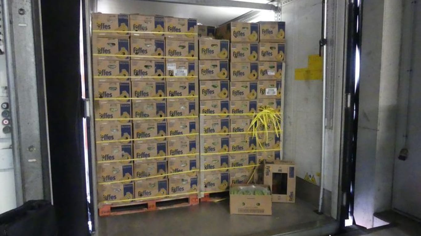 Die von der Polizei sichergestellten Bananenkisten: In ihnen waren 660 Kilogramm Kokain.