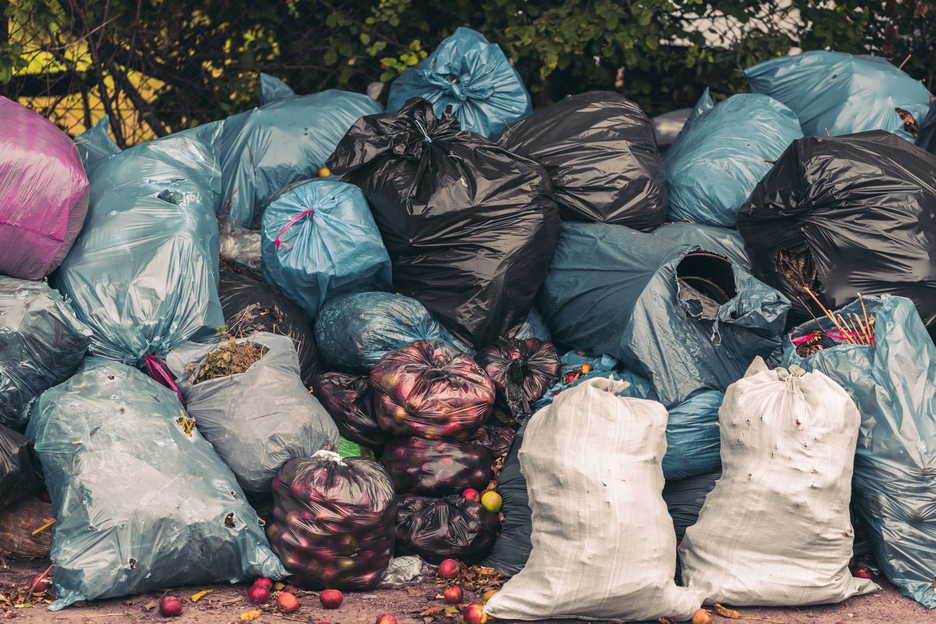 imago images 135057617Rohmaterial statt wertloser Müll: Mit innovativen Verfahren werden Gartenabfälle zum Ausgangsmaterial für Bioplastik.