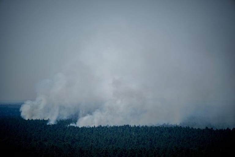 Rauch steigt im Grunewald auf: Ob das Brandmeldesystem funktioniert hat, soll ermittelt worden.