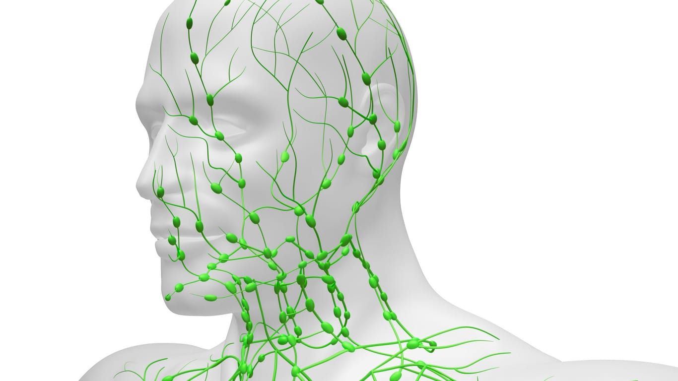 Illustration: Lymphbahnen mit Lymphknoten in der Kopf-Hals-Region