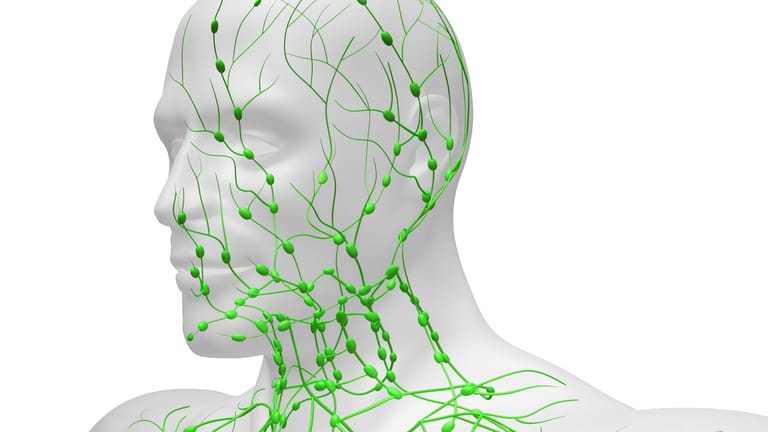 Illustration: Lymphbahnen mit Lymphknoten in der Kopf-Hals-Region