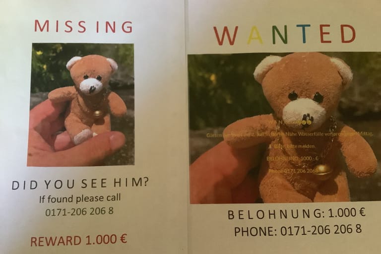 Teddy gesucht: Wer ihn findet, bekommt 1.000 Euro.