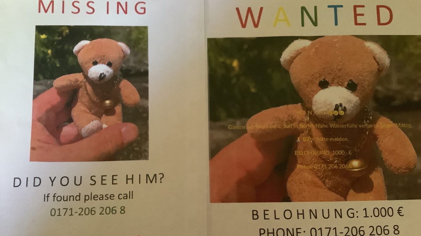 Teddy gesucht: Wer ihn findet, bekommt 1.000 Euro.
