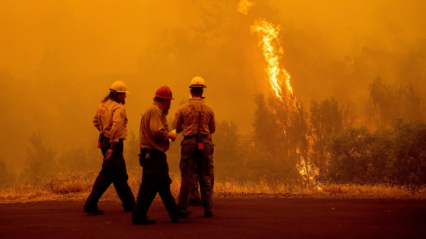 Feuerwehrleute vor den Flammen: Der Klamath National Forest brennt.