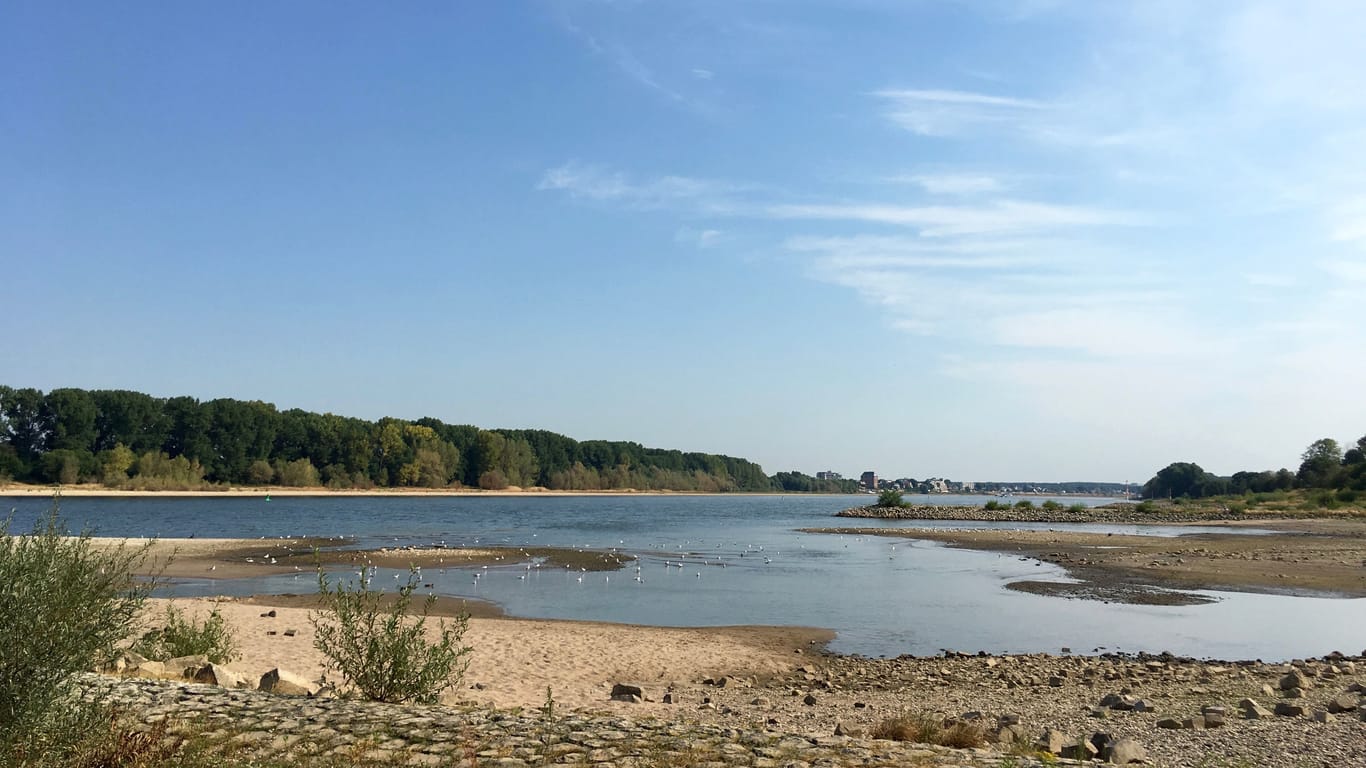 Niedrigwasser im Rhein: Auch hier ist ist der Klimawandel nicht zu übersehen.