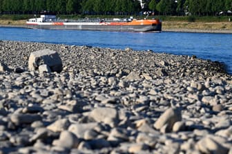 Niedrigwasser des Rheins