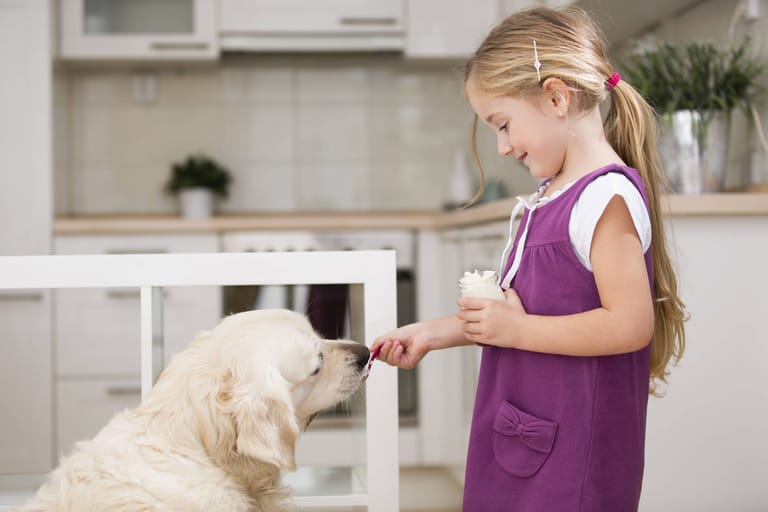 Hund und Joghurt: In Joghurt steckt weniger Laktose als in Milch, deshalb ist er für Hunde geeigneter.