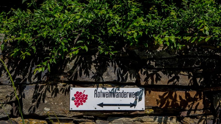 Der 1972 eröffnete Rotweinwanderweg: Mit dem Weg werden die Weinorte an der Ahr verbunden.