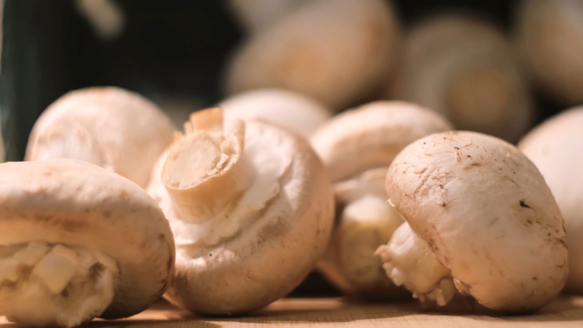 Champignons: Einige Merkmale zeigen, ob die Pilze ungenießbar sind.