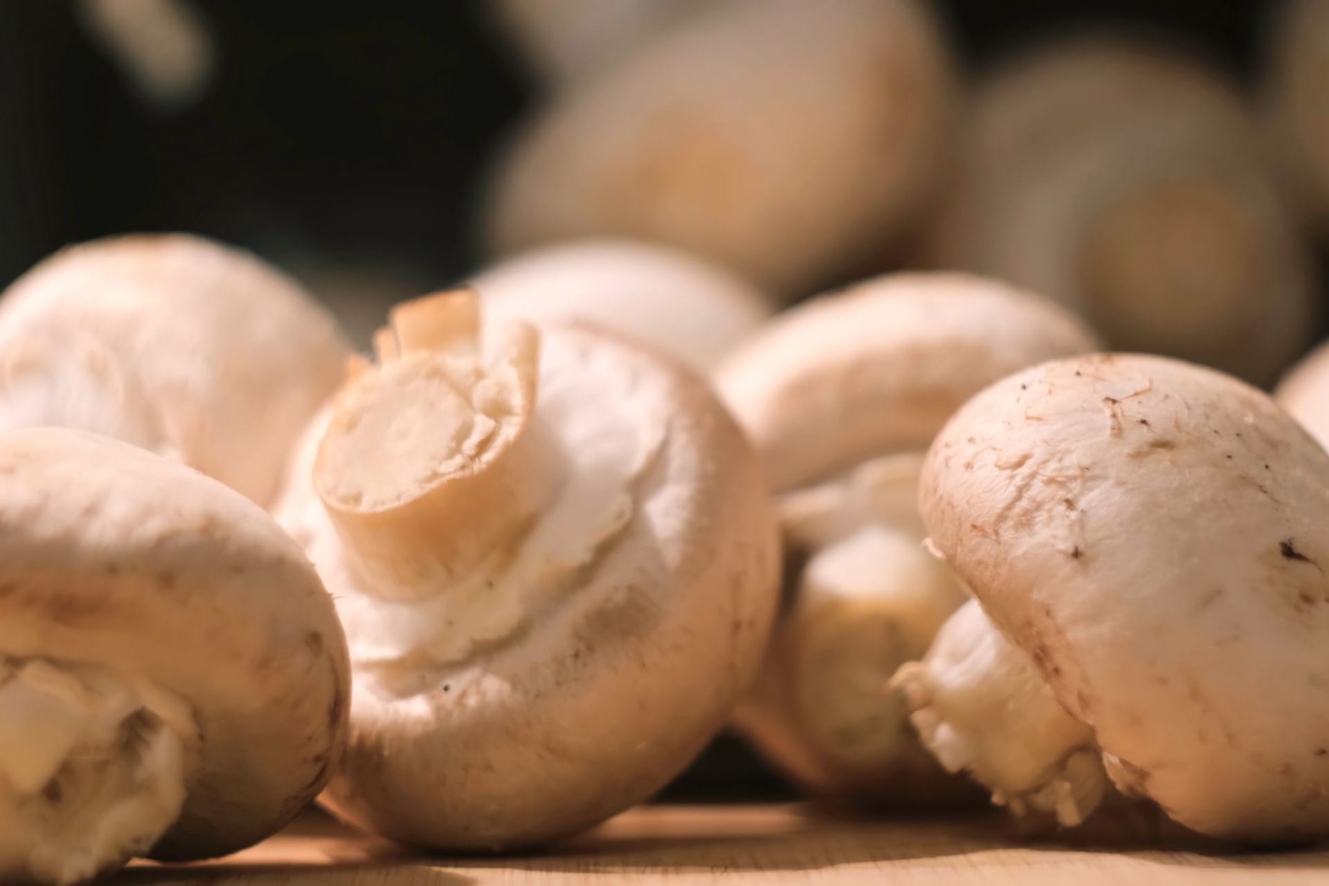 Champignons: Einige Merkmale zeigen, ob die Pilze ungenießbar sind.