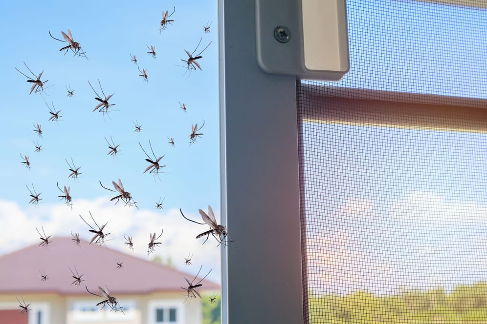 Fliegengitter sind eine dauerhafte Lösung gegen Insekten.