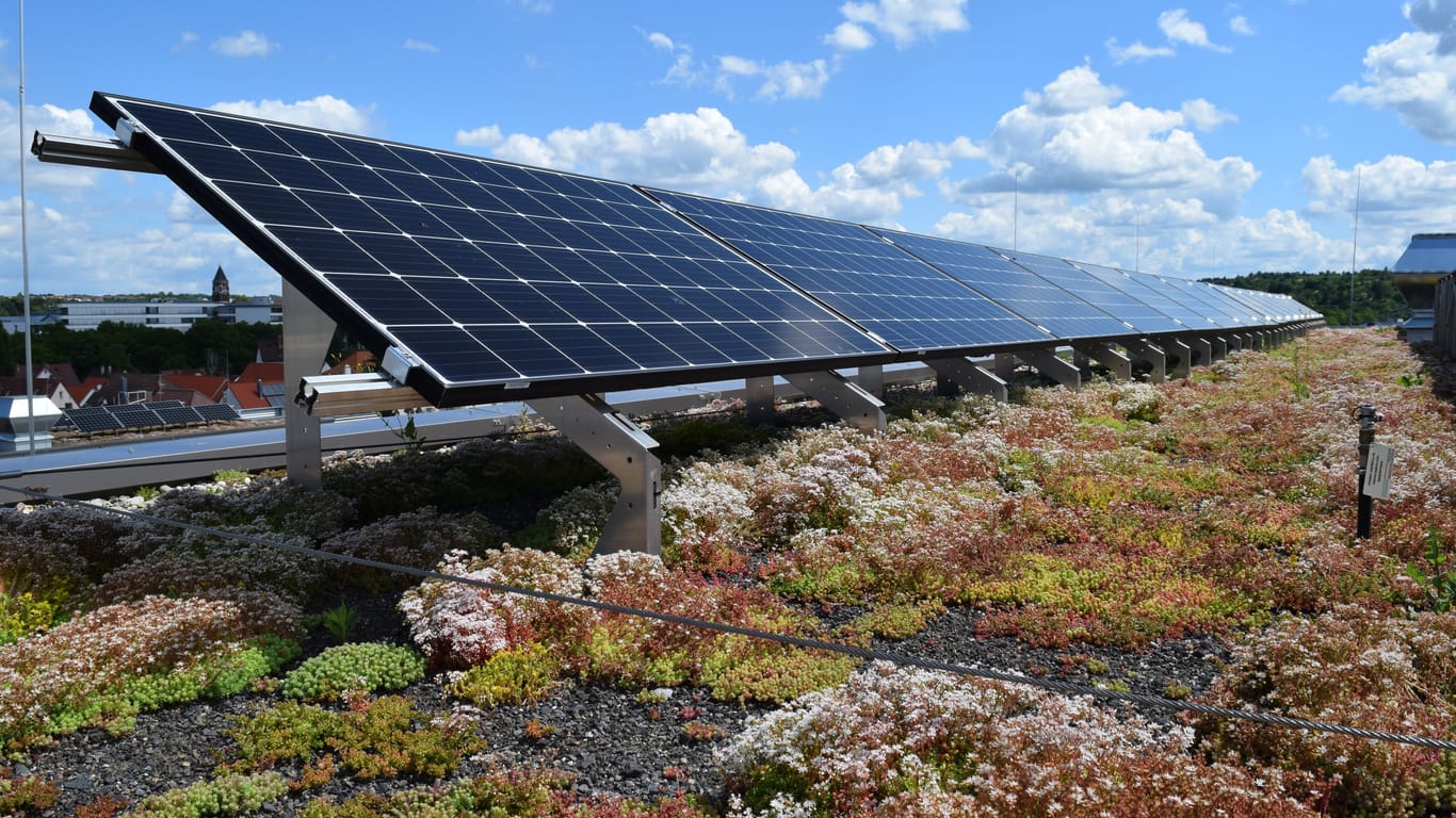 Dachbegrünung: Für ein Solargründach eignen sich niedrig wachsende Pflanzen, die Trockenheit gut vertragen.