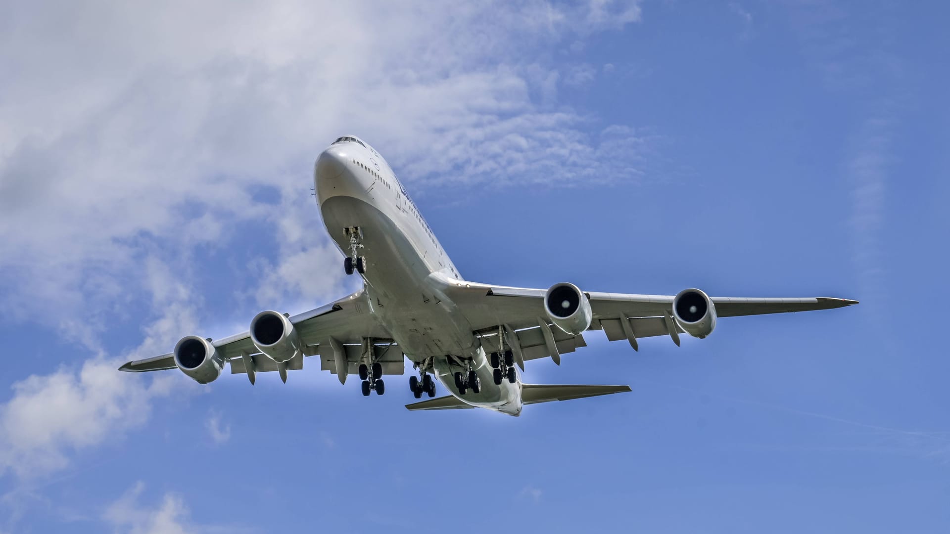 Landeanflug am Frankfurter Flughafen (Symbolbild): Die Frau saß über Stunden leblos im Flieger.