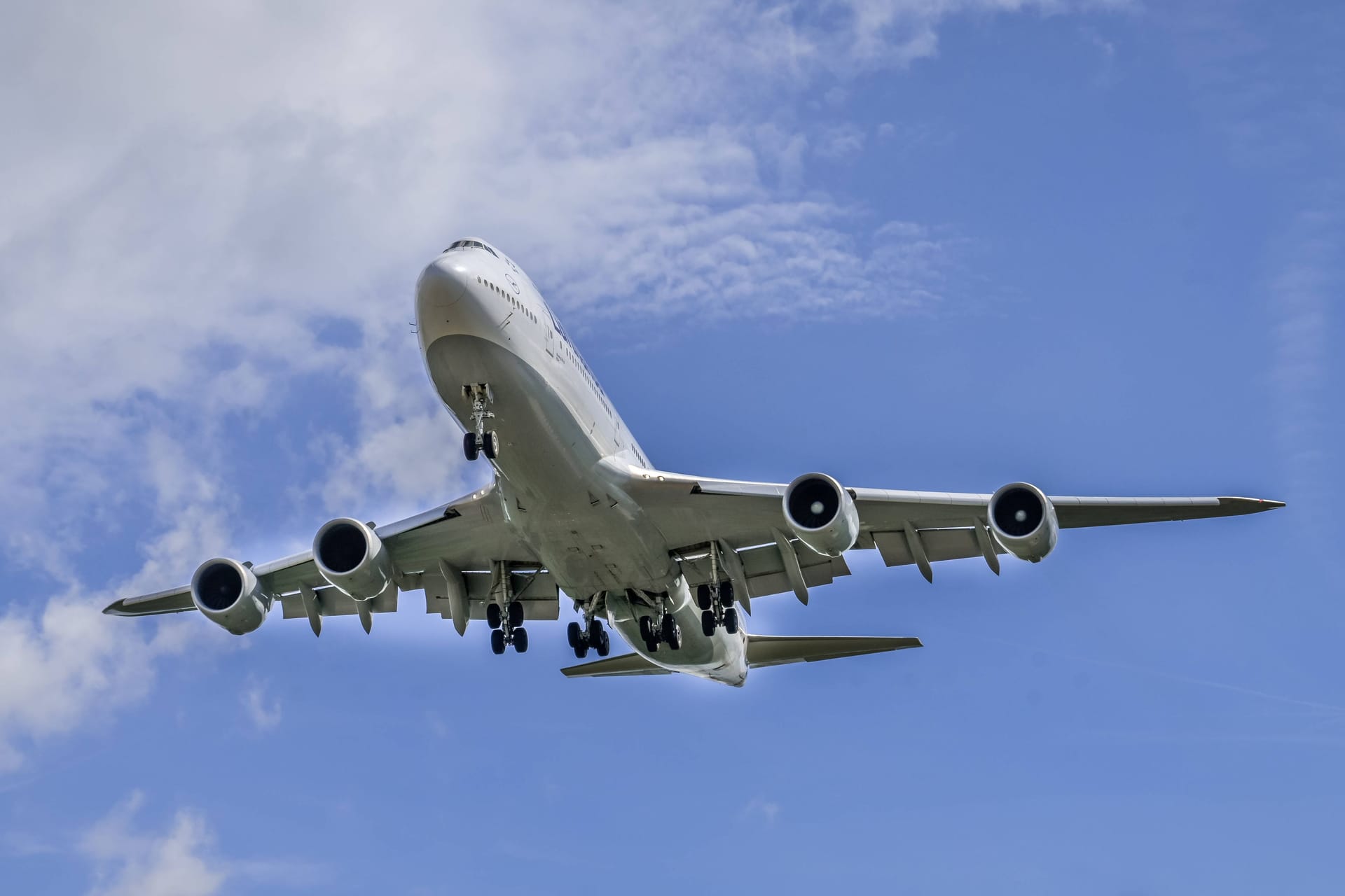 Landeanflug am Frankfurter Flughafen (Symbolbild): Die Frau saß über Stunden leblos im Flieger.