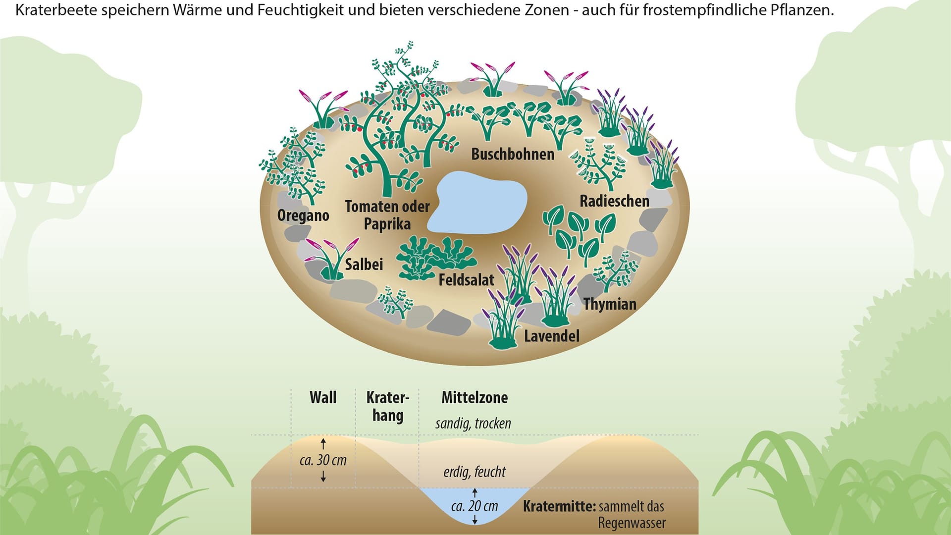 Wetterextreme: Mit der richtigen Bepflanzung trotzt ein Kraterbeet langen Trockenperioden im Sommer und viel Regen im Winter.