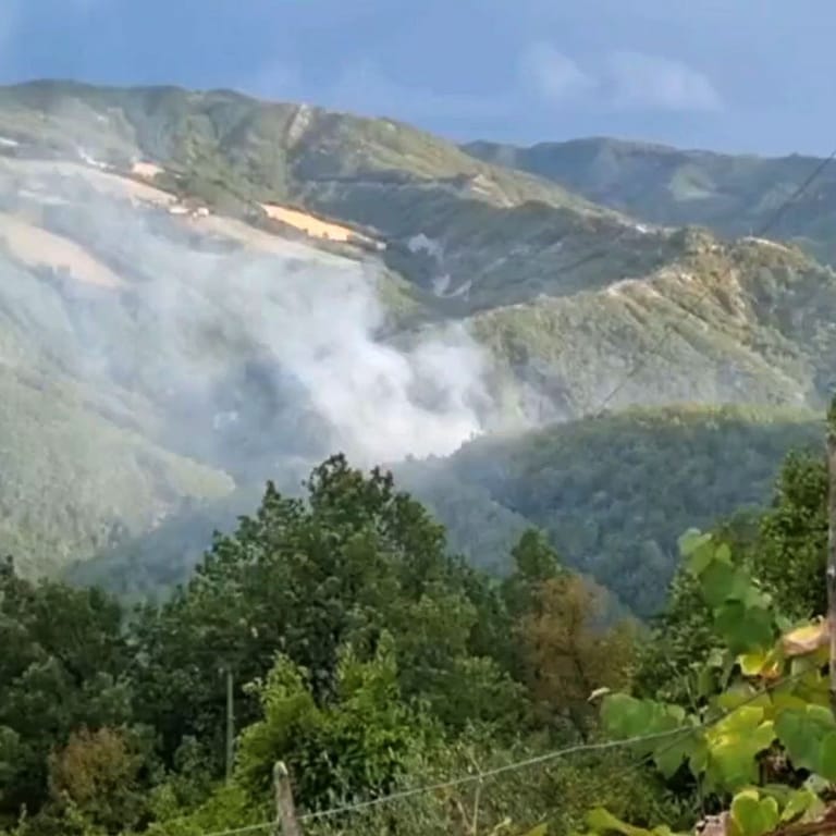 Ein Videostandbild von der italienischen Feuerwehr zeigt dichten Rauch über dem Gebiet Monte Arsiccio: Einheiten der italienischen Feuerwehr kämpfen seit Montagabend gegen einen Waldbrand nahe Rimini.