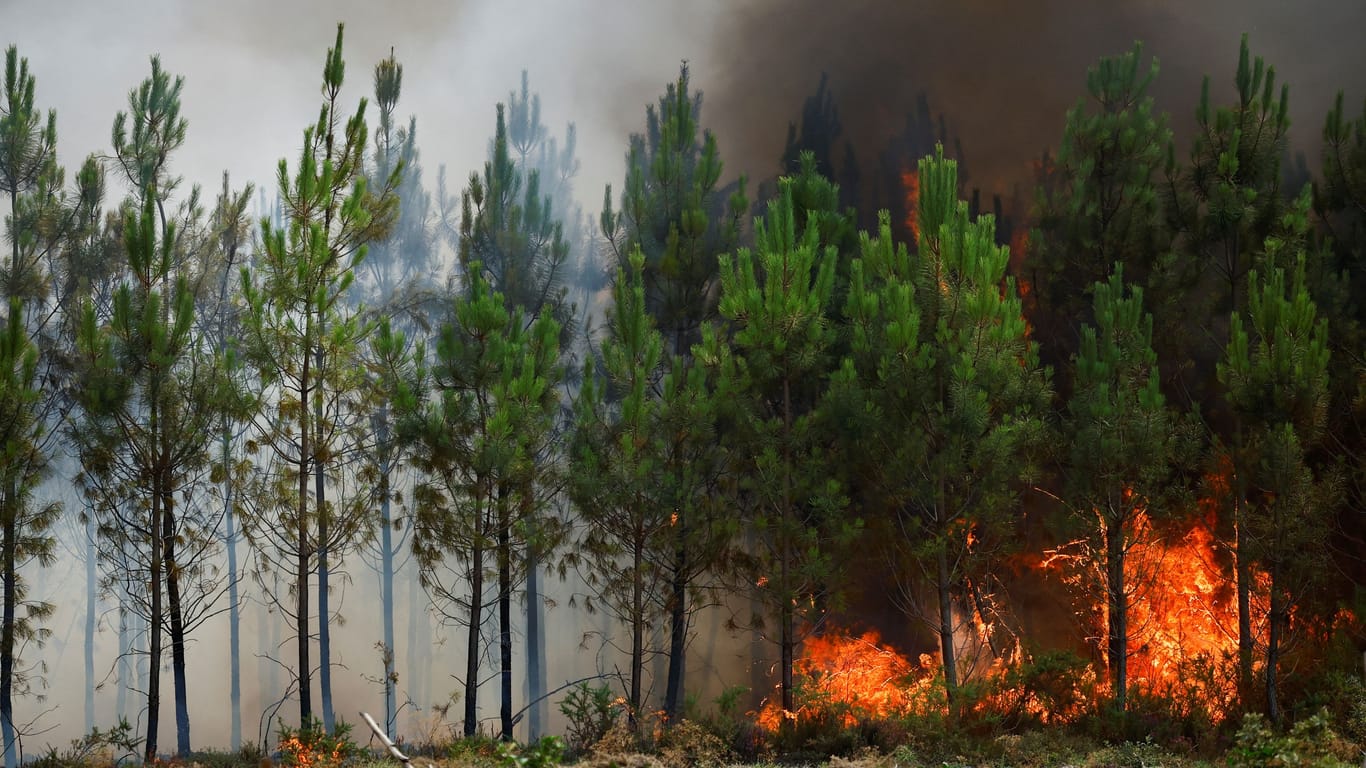 Brennender Wald in Frankreich: 2021 war das schlimmste Waldbrandjahr, so die Forscher.
