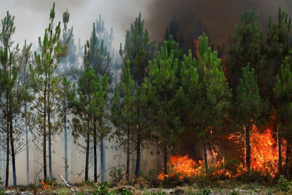 Brennender Wald in Frankreich: 2021 war das schlimmste Waldbrandjahr, so die Forscher.