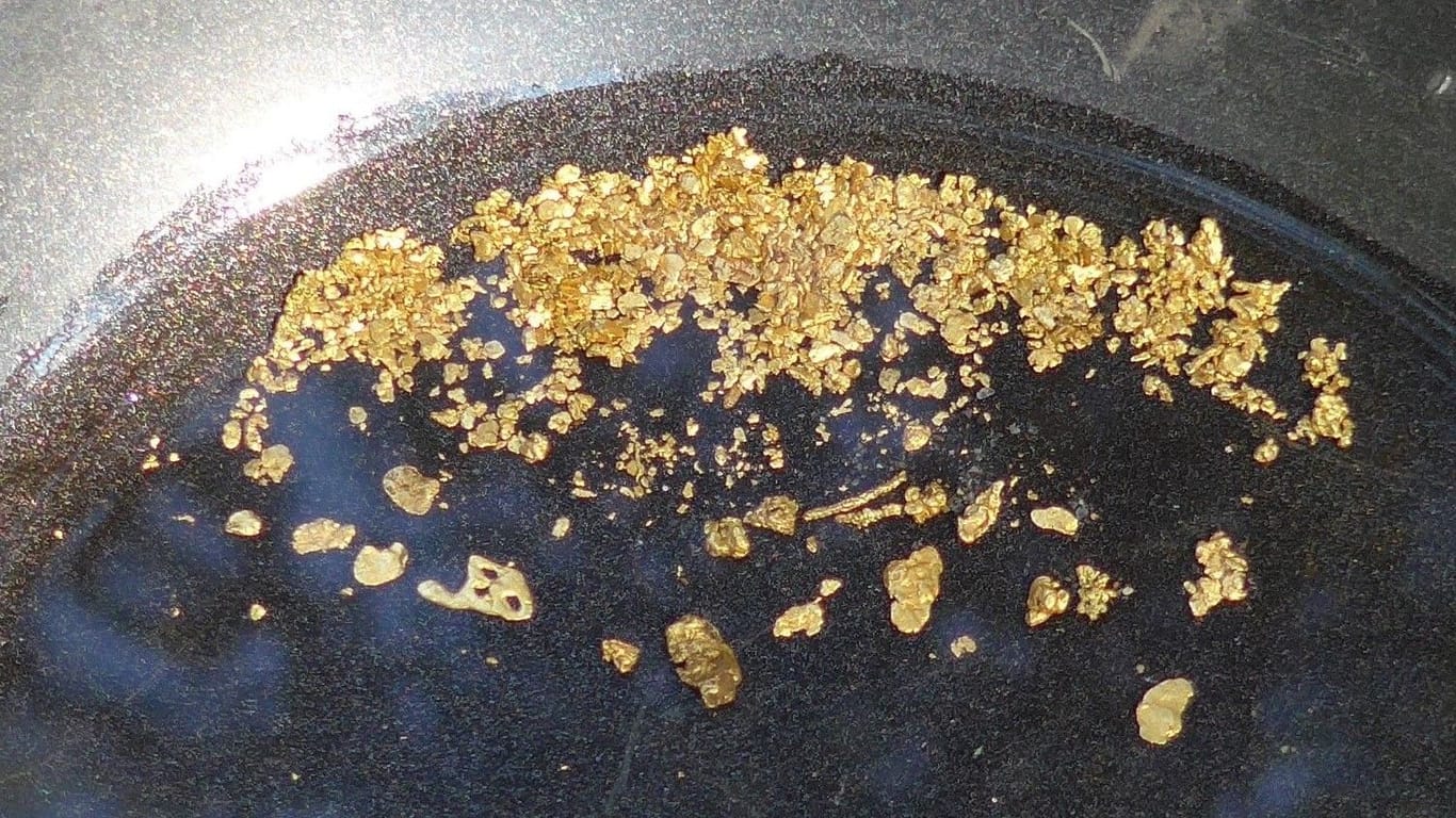 Eine Pfanne mit Gold aus dem Fluss in Amerika (Archivbild): "So sieht es aus, wenn es gut ist", sagt Goldwäscher Lucien Thiele.