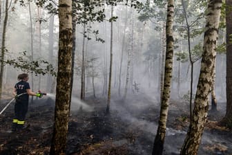 Feuerwehr vor Ort: Im Wald brannten rund 20.000 Quadratmeter.