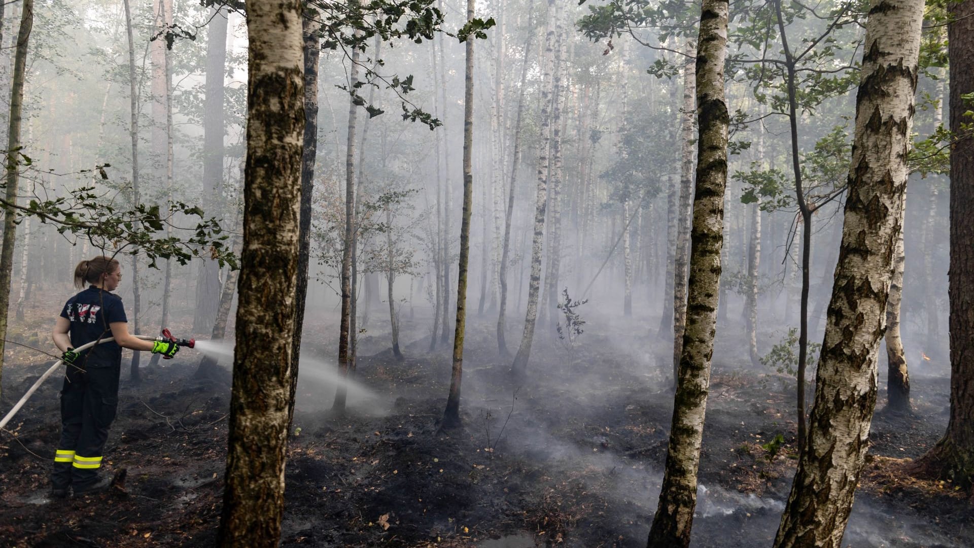 Feuerwehr vor Ort: Im Wald brannten rund 20.000 Quadratmeter.