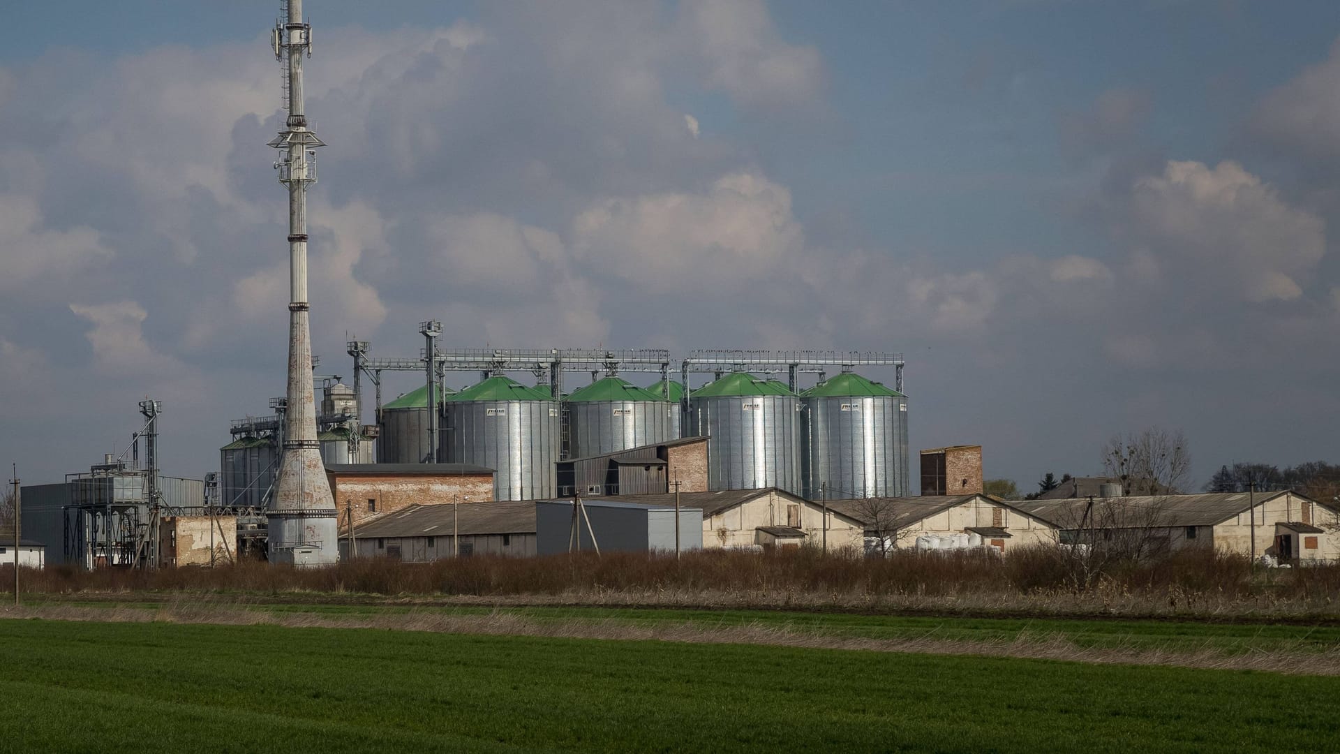 Getreidesilos in der Nähe von Kiew (Archiv): Das Getreide aus der Ukraine wird auf dem Weltmarkt dringend benötigt.