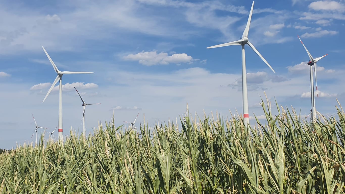 Windmühlen im Windpark: Sie produzieren Strom für Tausende Haushalte.