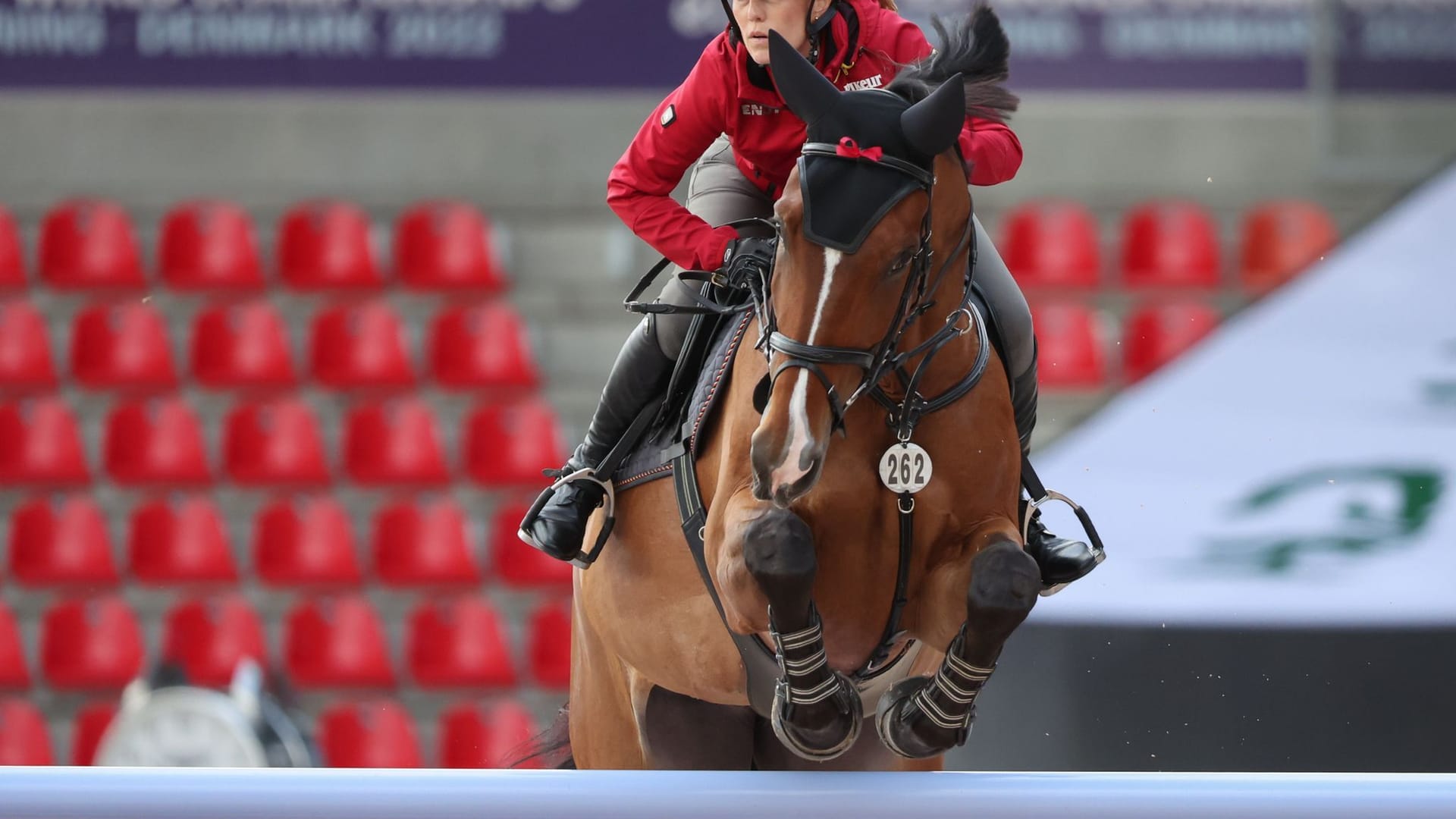 Janne Friederike Meyer-Zimmermann