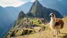 Machu Picchu: In Peru gibt es noch viel mehr als die Inka-Stadt zu besichtigen.