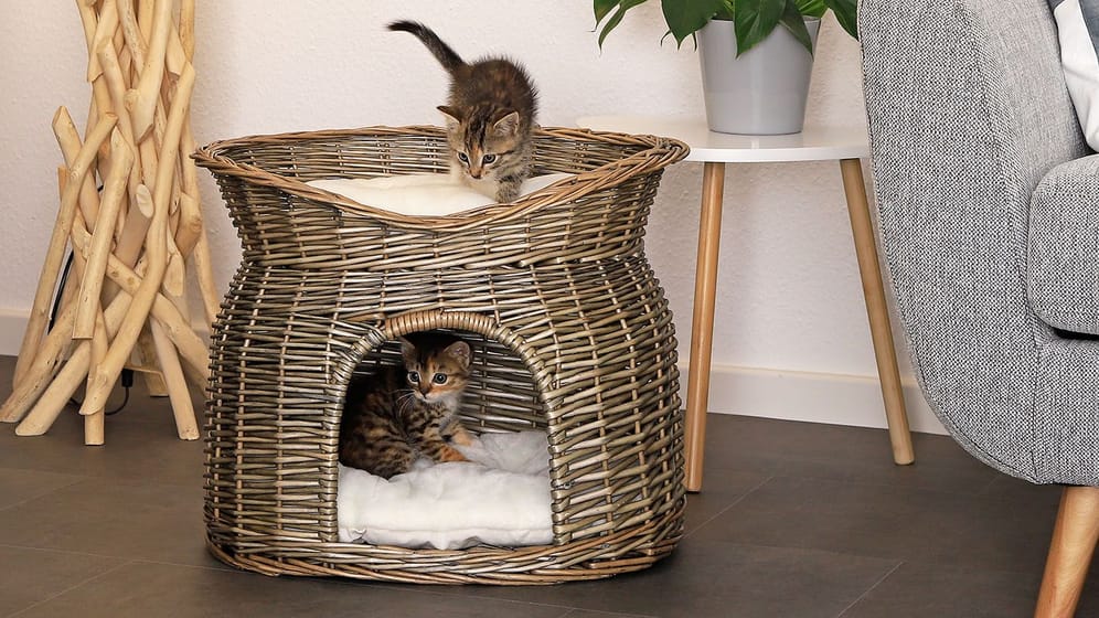 Diese flauschigen Katzenbetten bieten Ihrer Katze einen kuscheligen Schlafplatz
