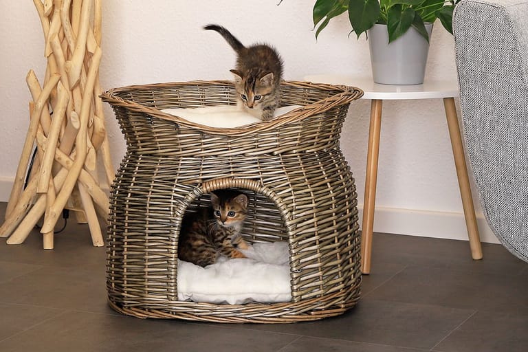Diese flauschigen Katzenbetten bieten Ihrer Katze einen kuscheligen Schlafplatz