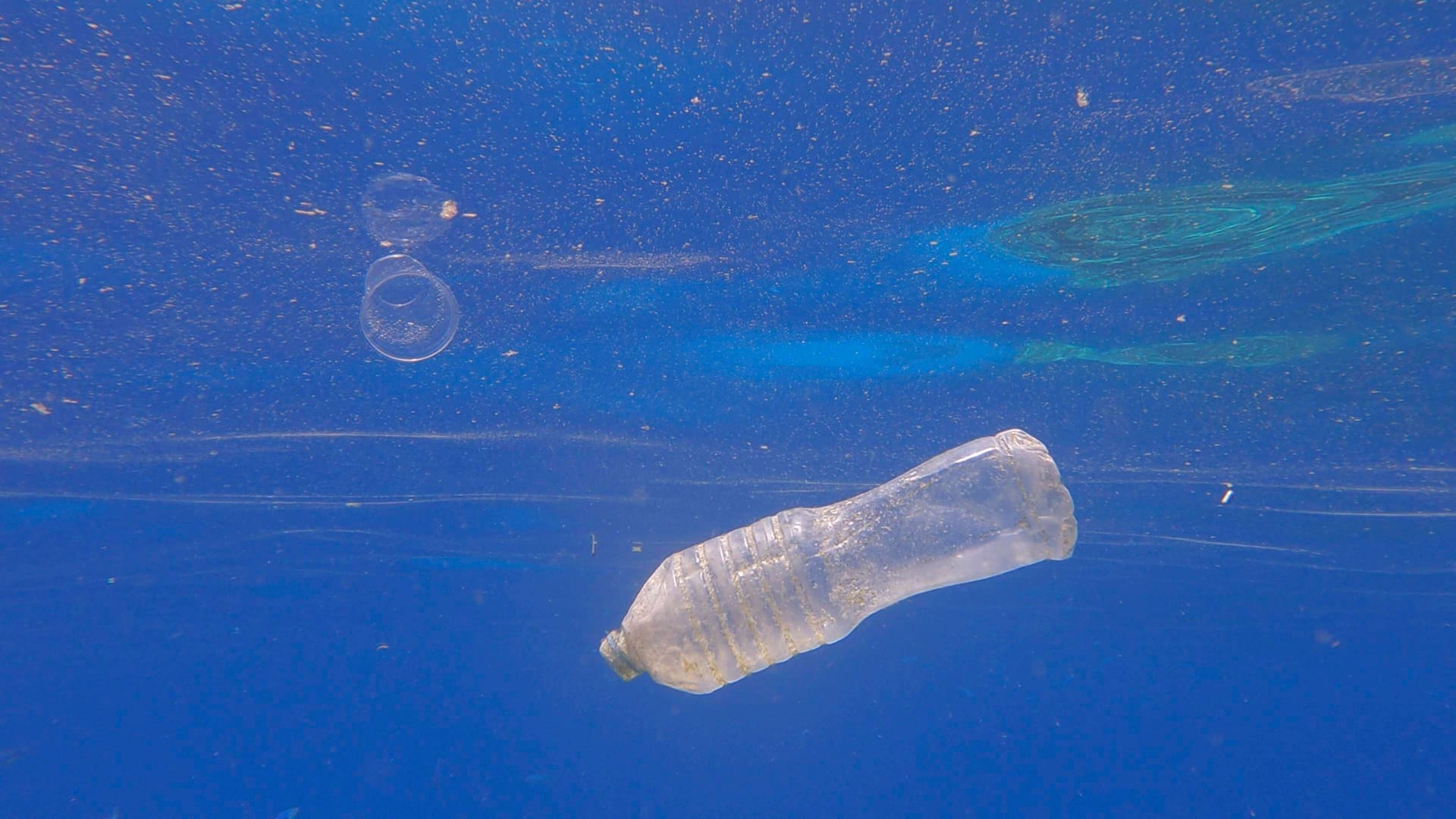 Plastikmüll treibt im Meer. Die Abfälle zerstören Tier- und Pflanzenwelt.