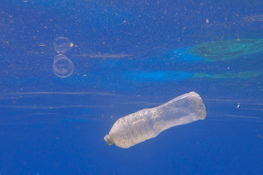 Plastikmüll treibt im Meer. Die Abfälle zerstören Tier- und Pflanzenwelt.