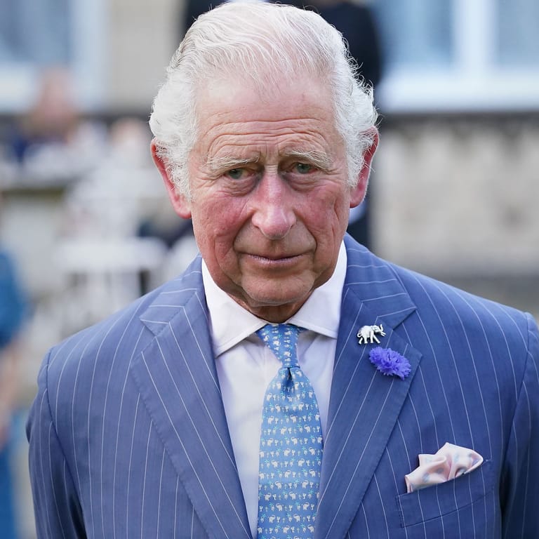 Prinz Charles: Der Thronfolger sagt, was er von seiner Darstellung in der Netflix-Serie "The Crown" hält.