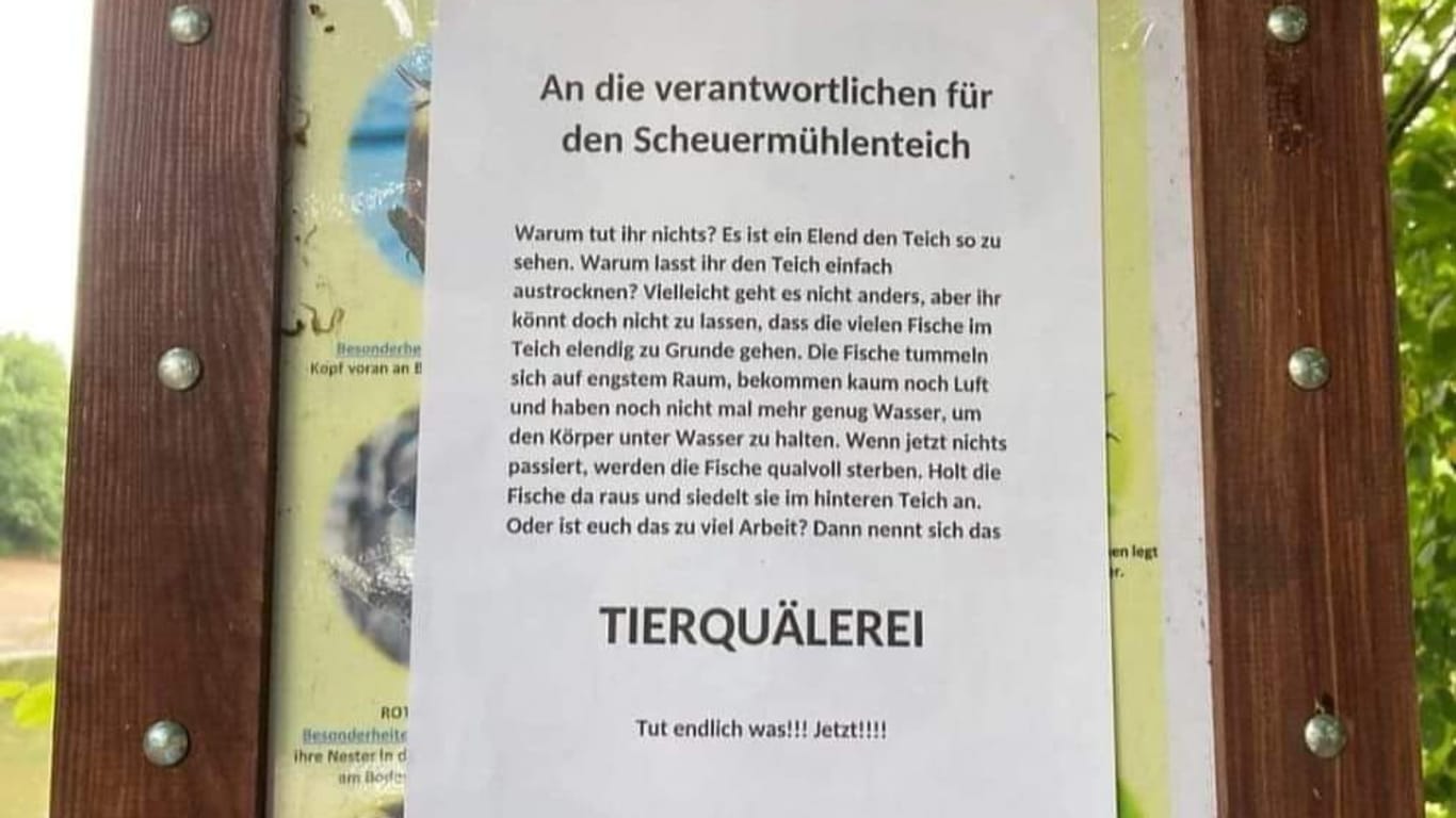 Ein Flyer am Scheuermühlenteich: Anwohner sind wütend darüber, dass die Fische getötet wurden.