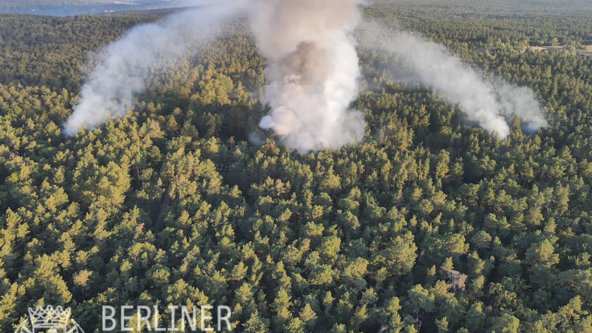 Die Luftaufnahme der Berliner Feuerwehr zeigt den Brand im Grunewald: Nach wie vor brennt das Feuer unkontrolliert weiter.