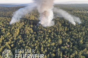 Die Luftaufnahme der Berliner Feuerwehr zeigt den Brand im Grunewald: Nach wie vor brennt das Feuer unkontrolliert weiter.